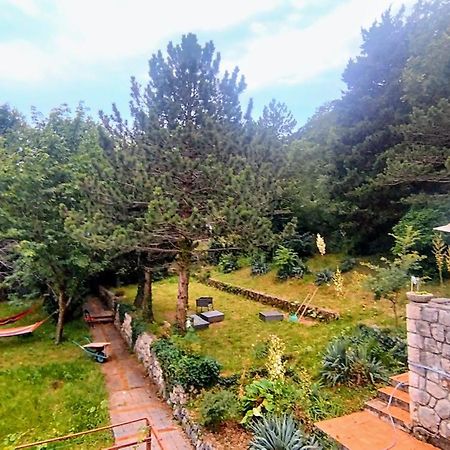 Amazing Sea-Mountain Valley View House With 3 Terraces And Huge Chill Gardens, 5Min From The Sea! Bribir (Primorje-Gorski Kotar) Exterior foto
